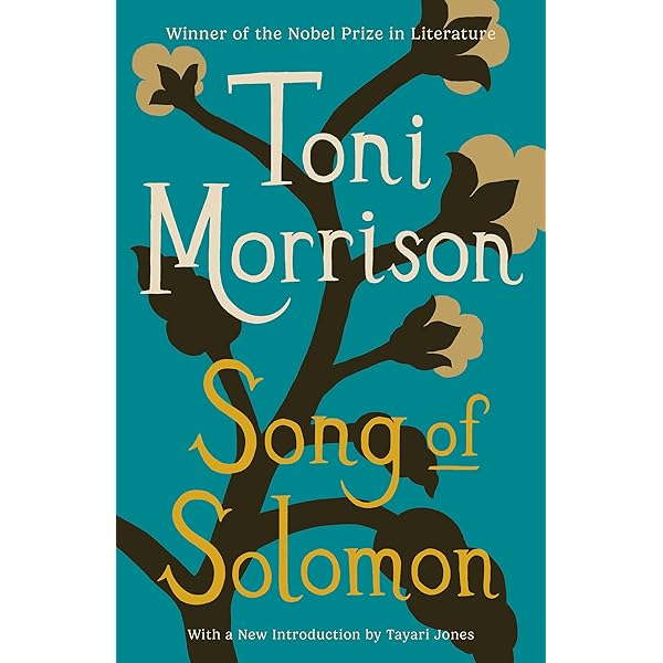 Amazon.com: Playing in the Dark : Whiteness and the Literary